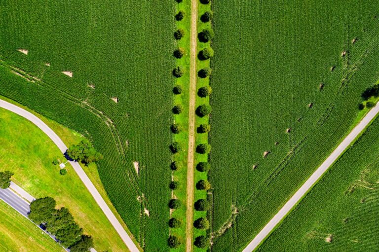 Bornage de terrain : qui paie lors d&rsquo;une vente ?
